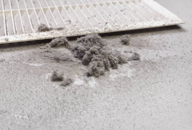 Best Best Air Duct Cleaning Company  in Monticello, MN