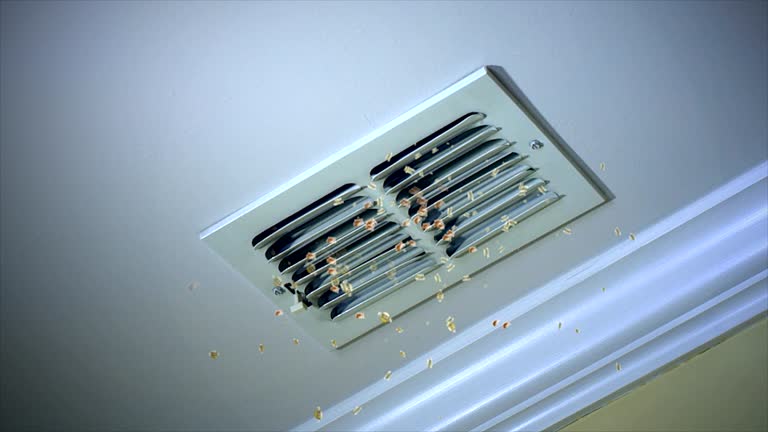 Ductwork Cleaning Services in MN